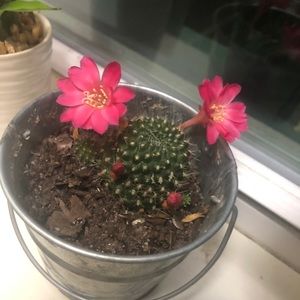 Meet your Posher, Gabriella